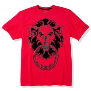 Nike Men's Gray Lebron Lion Crown Drifit Tee